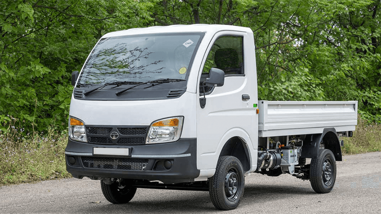 Birinchi marta anal uchun katta sikli porno videolarni tomosha qiling